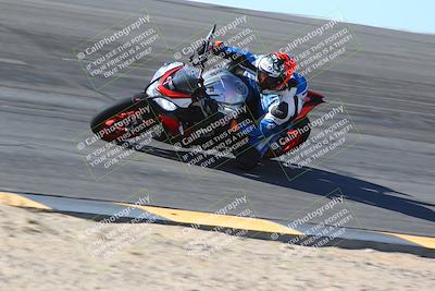 media/Jan-14-2024-SoCal Trackdays (Sun) [[2e55ec21a6]]/Bowl (11am)/